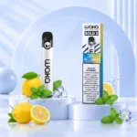 خرید-پاد-یکبارمصرف پاد-یکبارمصرف-اقتصادی waka-2k-lemonade-mint